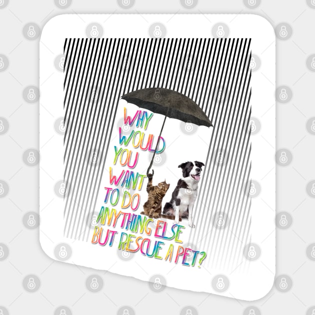 Why  would  you  want  to do  anything else  but rescue a pet? Sticker by LanaBanana